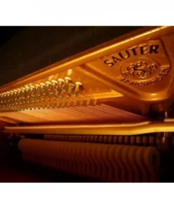 Sauter Ragazza 122 (Blue Polished)