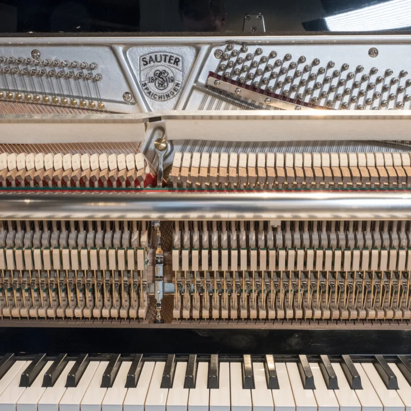 Sauter Rhapsody 122 Upright