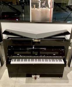 Sauter School Studio 122 (Ash Black Satin)