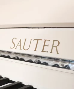 Sauter Vision 116 (Walnut Burl)