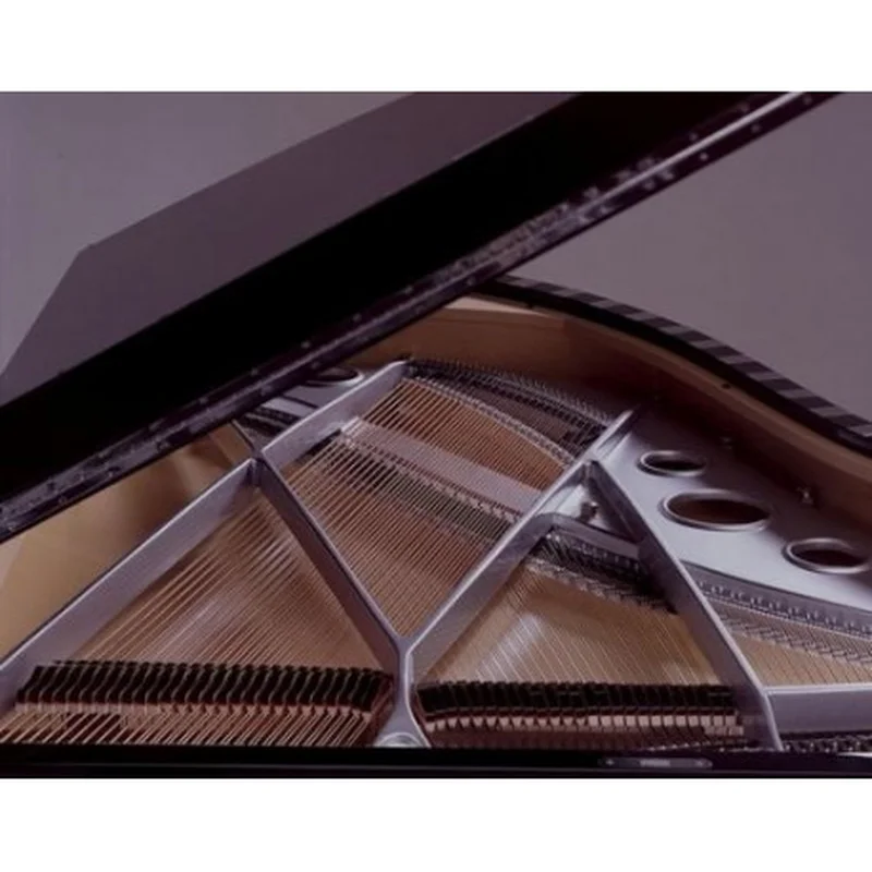 Sauter Vivace 210 (Black Polished) – Toàn cảnh thiết kế tại Nah Music