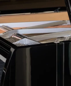 Sauter Vivace 210 (Black Polished)