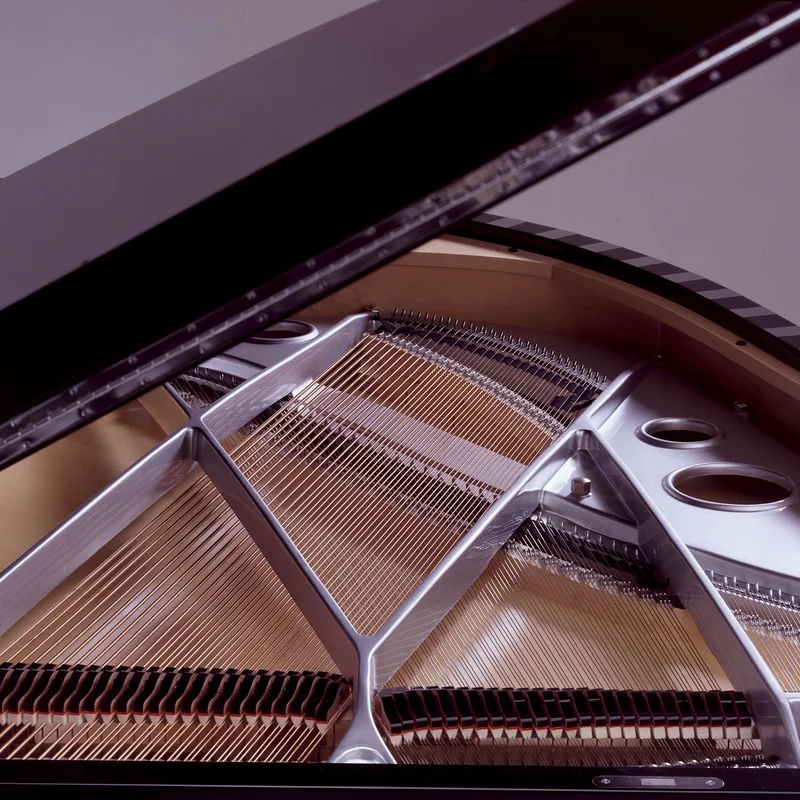 Sauter Vivace 210 (White Polished)