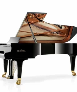 Konzert K256 Tradition