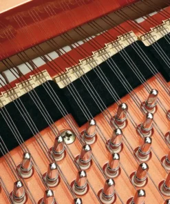 Konzert K256 Tradition
