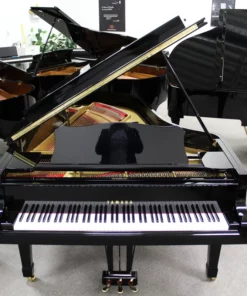Konzert K256 Tradition