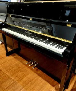 Schimmel TwinTone