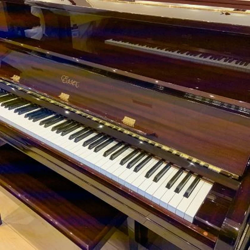 Đàn piano Seiler SE-116 PM – Chi tiết bàn phím