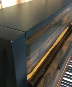 SE-126 ATTRACTION ZIRICOTE WOOD & POLISH EBONY