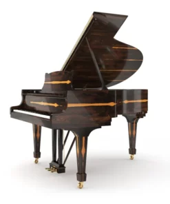 SE-126 ATTRACTION ZIRICOTE WOOD & POLISH EBONY