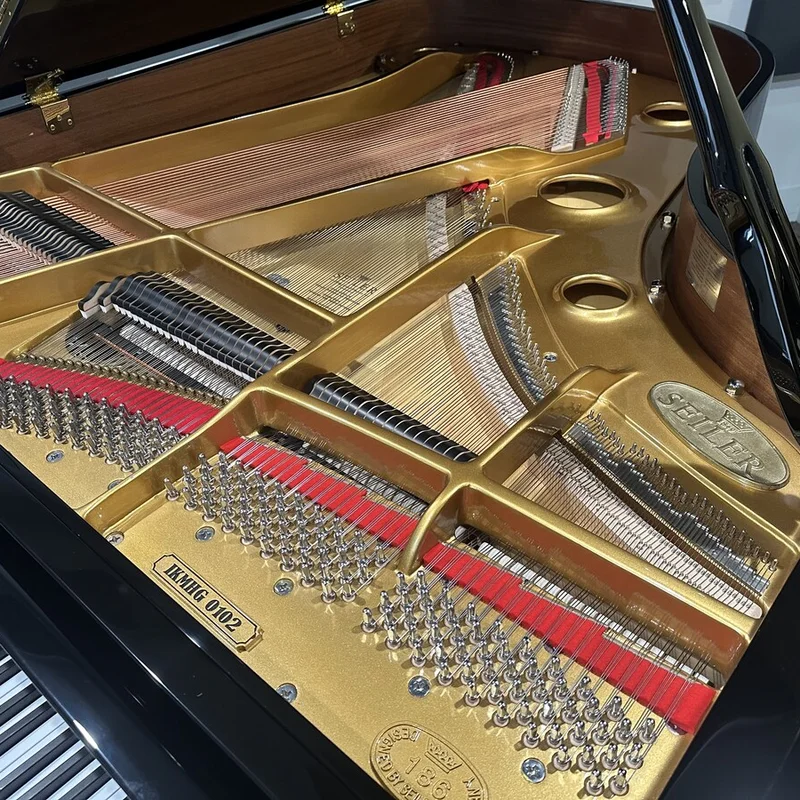 Review SEI-186 – Hình ảnh thực tế tại showroom Nah Music