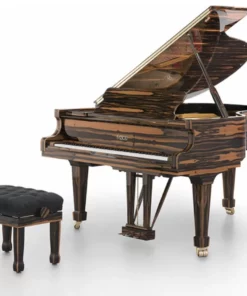 Fazioli Ebony Black & White