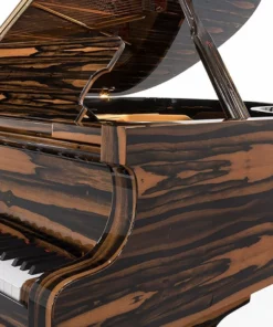 Fazioli Ebony Black & White
