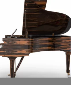 Fazioli Ebony Black & White