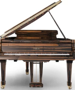 Fazioli Ebony Black & White