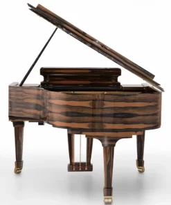 Fazioli Ebony Black & White