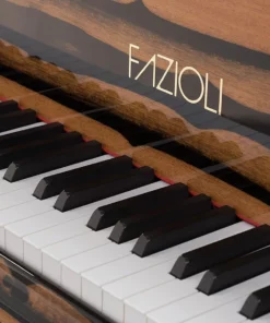 Fazioli Ebony Black & White