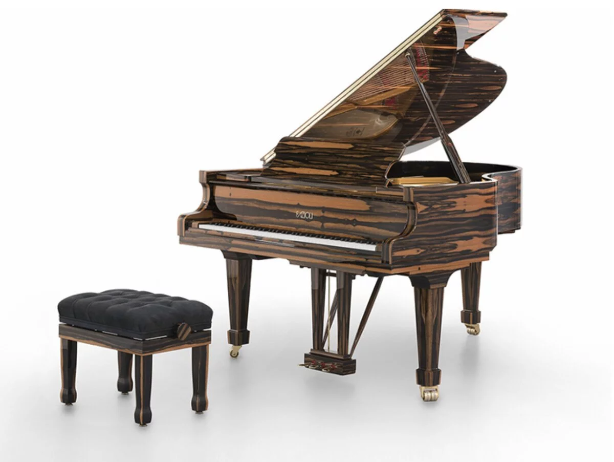 Fazioli Ebony Black & White