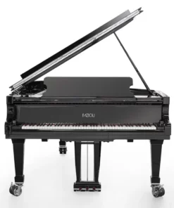Fazioli Silver