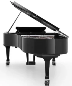 Fazioli Silver