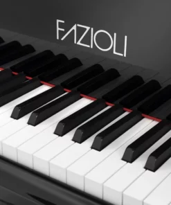 Fazioli Silver