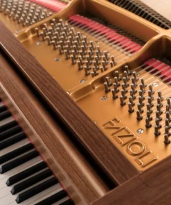 Fazioli Walnut Strauss