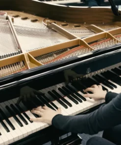 STEINWAY M-170