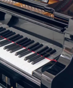 STEINWAY MODEL D-274 Spirio