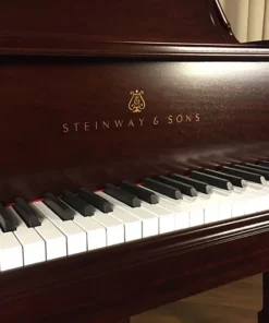 STEINWAY A3 WN