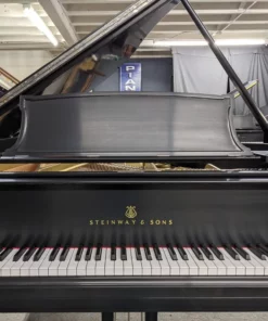 STEINWAY A3 WN