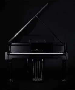 Steinway & Sons Gran Nichetto (The Black Polished)