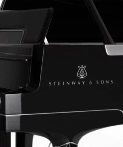 Steinway & Sons Gran Nichetto (The Black Polished)