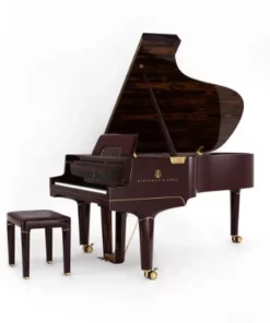 Steinway & Sons Gran Nichetto (The Black Polished)
