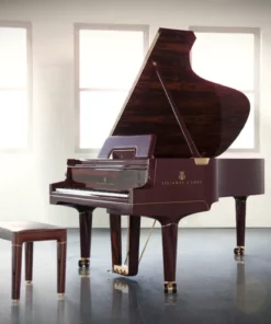 Steinway & Sons Gran Nichetto (The Midnight Red)