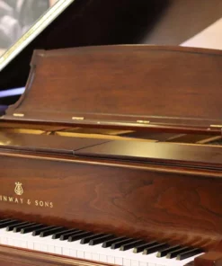 STEINWAY MODEL O (Wood)