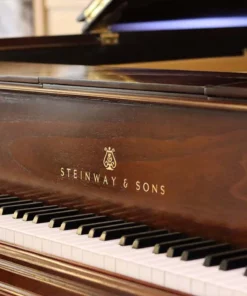 STEINWAY MODEL O (Wood)