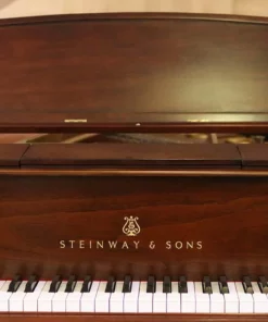 STEINWAY MODEL O (Wood)