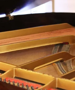 STEINWAY MODEL O (Wood)
