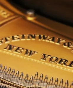 STEINWAY MODEL O (Wood)