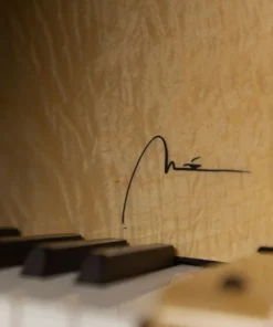 Steinway & Sons Noé Limited Edition (Deep Burgundy Red)