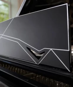 Steinway & Sons Philharmonie de Paris