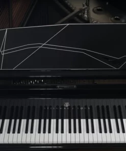 Steinway & Sons Philharmonie de Paris