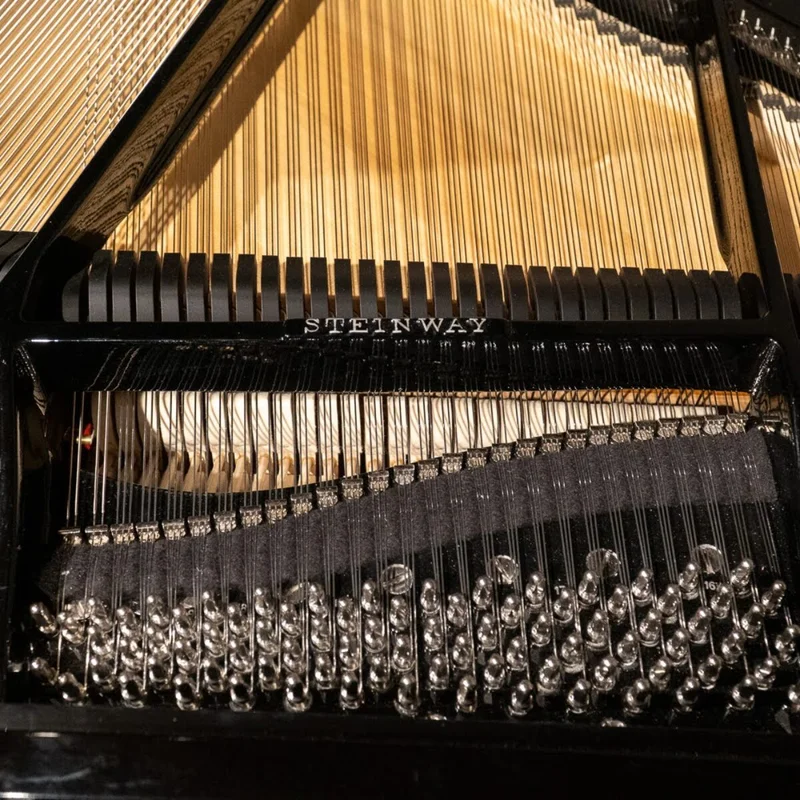 Steinway & Sons - The Jet Noir – Toàn cảnh thiết kế tại Nah Music