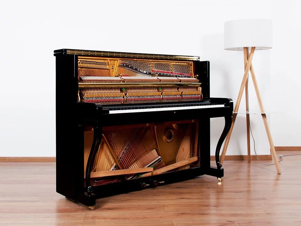 STEINWAY Z114