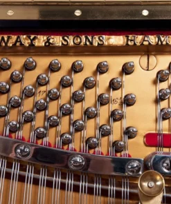STEINWAY Z114 WN