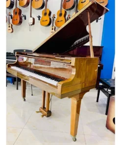 TOKAI G-150