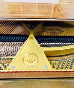 TOKAI G-150