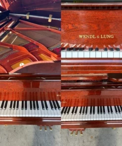 Wendl & Lung G151W