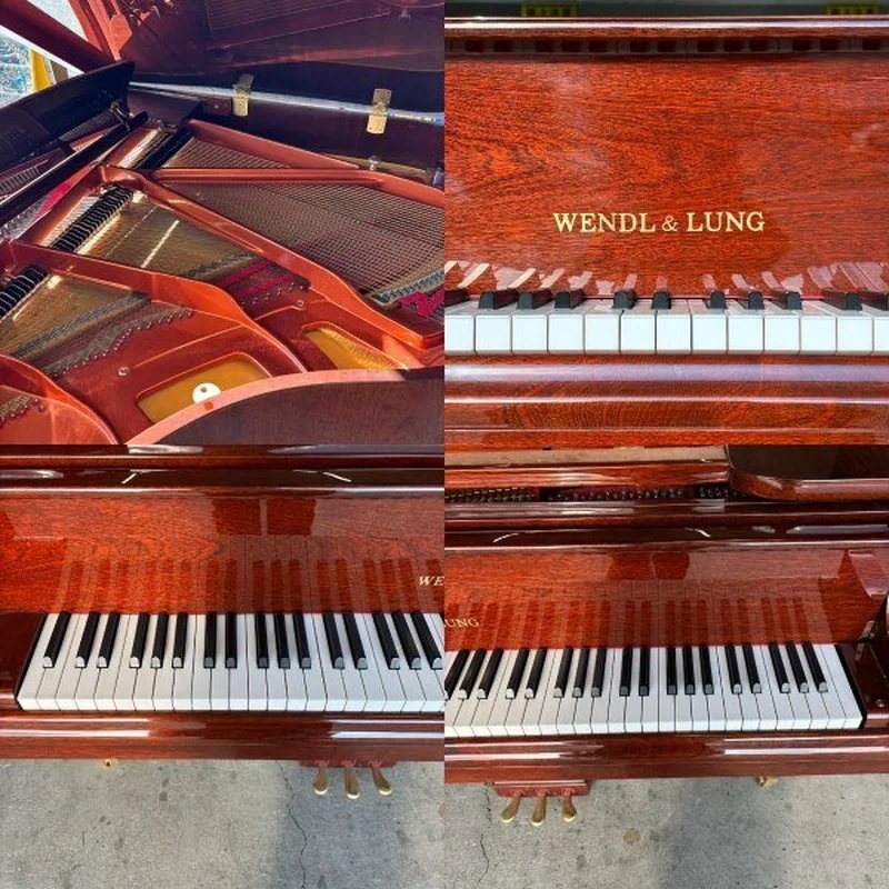 Wendl & Lung G151W