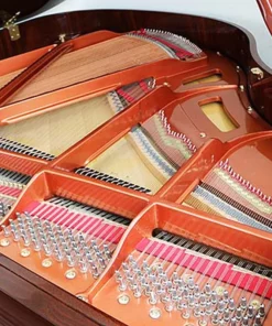 Wendl & Lung Mod.151 Professional III